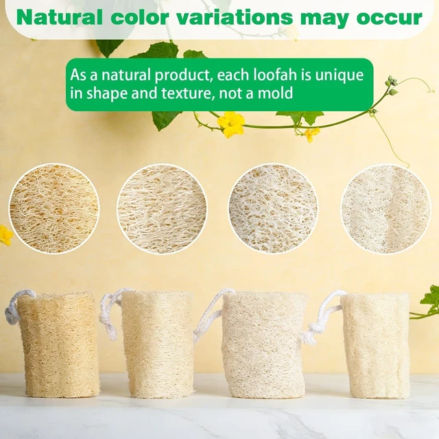 Alt view image 7 of 7 - Organic Natural Luffa Body Scrubber Bath Exfoliating Sponge
