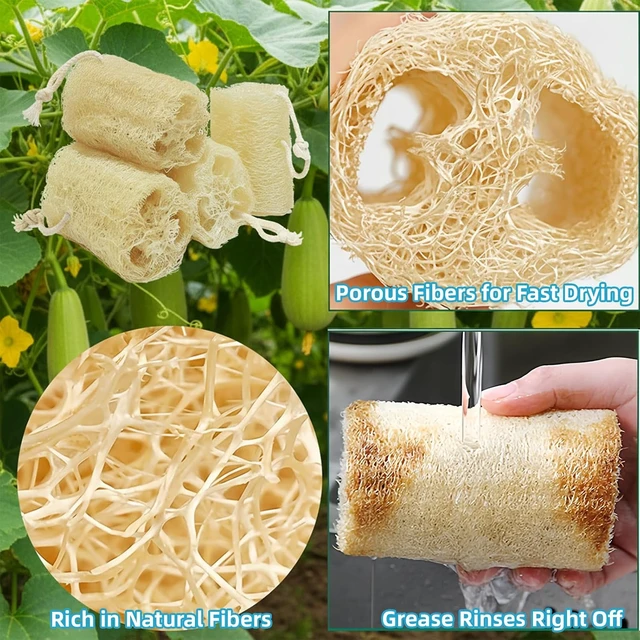 Alt view image 6 of 7 - Back and Dish Cleaning, Face, Shower, Multi-Use Exfoliating Luffa Sponge for Bath, Organic Plant-Based Natural Loofah Body Scrubber for Men and Women