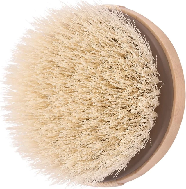 Alt view image 4 of 7 - Eco-Friendly Vegan Cruelty-Free, Promotes Circulation & Reduces Cellulite Appearance, Dry Body Brush for Skincare Routine
