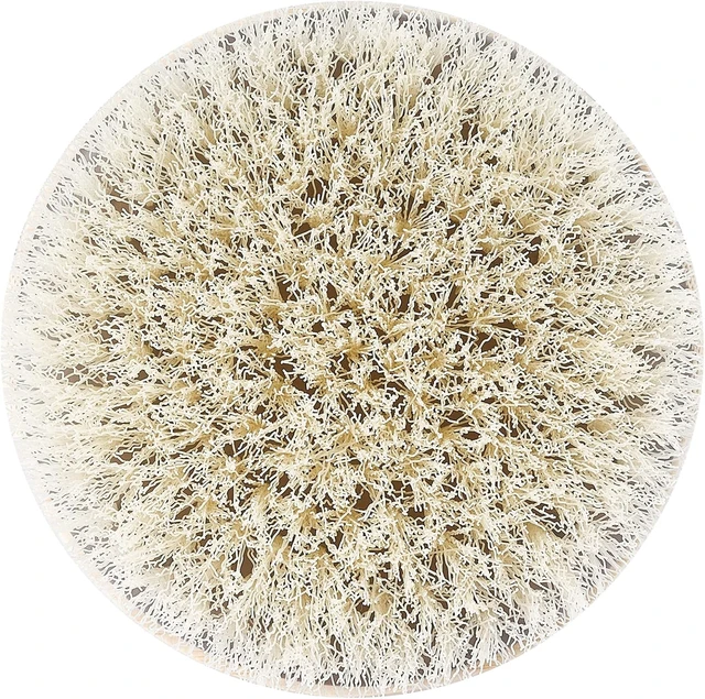 Alt view image 3 of 7 - Eco-Friendly Vegan Cruelty-Free, Promotes Circulation & Reduces Cellulite Appearance, Dry Body Brush for Skincare Routine