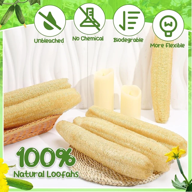 Alt view image 2 of 7 - 6-Pack Natural Loofah Body Scrubber for Men & Women