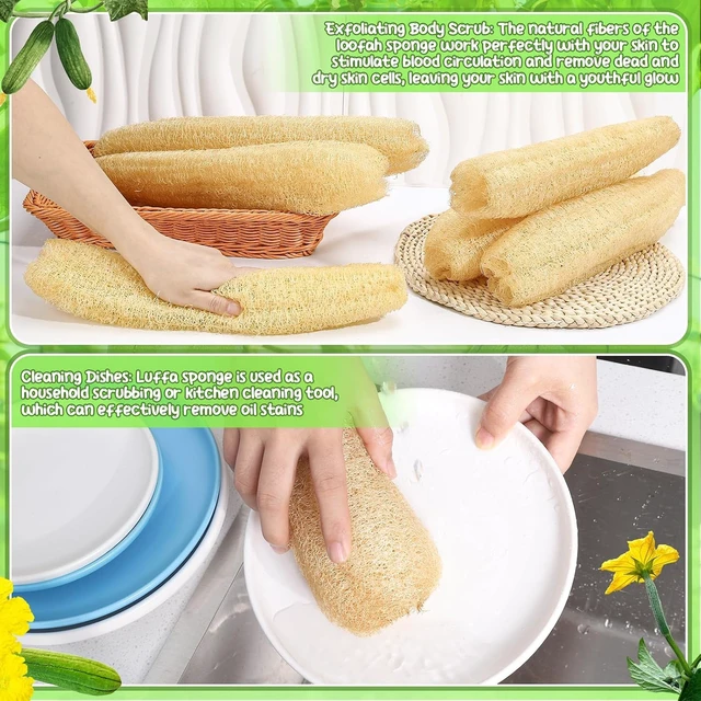 Alt view image 4 of 7 - 6-Pack Natural Loofah Body Scrubber for Men & Women