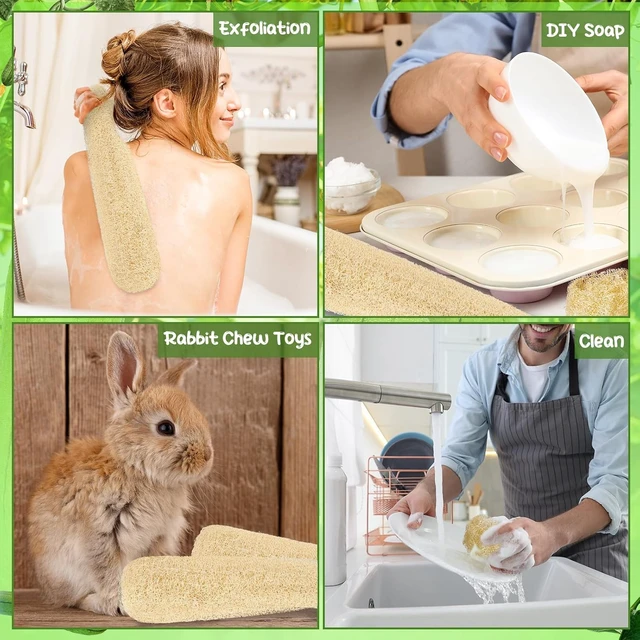 Alt view image 6 of 7 - 6-Pack Natural Loofah Body Scrubber for Men & Women