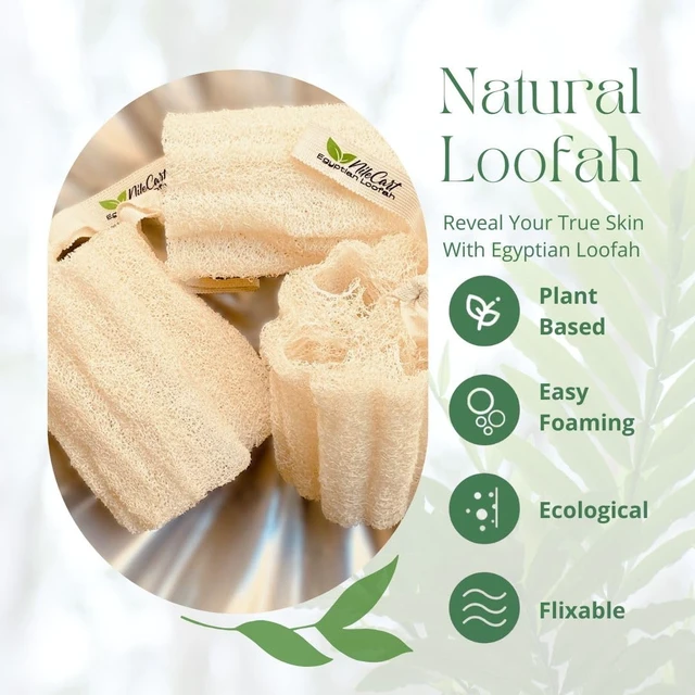 Alt view image 4 of 7 - Egyptian Luffa Body Scrubber Set - Natural Loofah Exfoliating Sponge for Bath & Shower