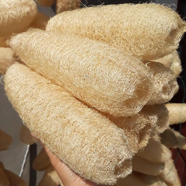 Main image of Natural Loofah Sponge Body Scrubber for Bath Exfoliation Unisex