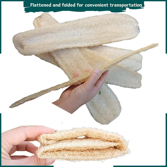 Alt view image 2 of 7 - Natural Loofah Sponge Body Scrubber for Bath Exfoliation Unisex