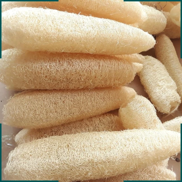 Alt view image 5 of 7 - Natural Loofah Sponge Body Scrubber for Bath Exfoliation Unisex