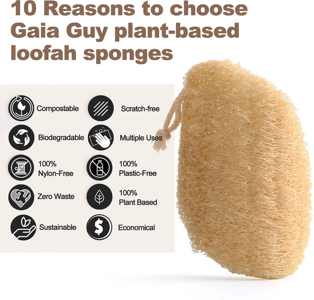 Alt view image 5 of 6 - Plastic-Free Compostable Cleaning Supplies, Biodegradable Plant-Based Dish Sponges, Eco-Friendly Natural Loofah Kitchen Scrubber Pads