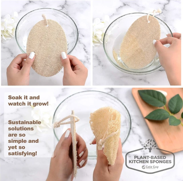 Alt view image 6 of 6 - Plastic-Free Compostable Cleaning Supplies, Biodegradable Plant-Based Dish Sponges, Eco-Friendly Natural Loofah Kitchen Scrubber Pads