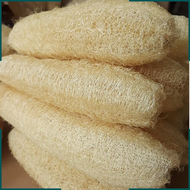 Alt view image 7 of 7 - Natural Loofah Sponge Body Scrubber for Bath Exfoliation Unisex