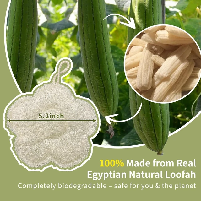 Alt view image 6 of 6 - Quick-Drying & Lightweight Body Scrubber, Natural Egyptian Loofah Sponge for Travel - Exfoliating