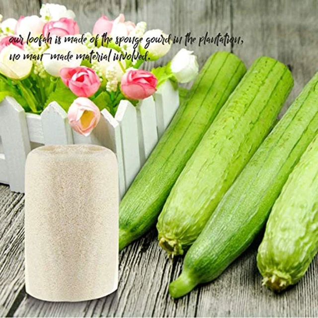 Alt view image 6 of 7 - SPA Bath Scrubber to Remove Dead Skin, Natural Loofah Sponge Set for Body Exfoliation
