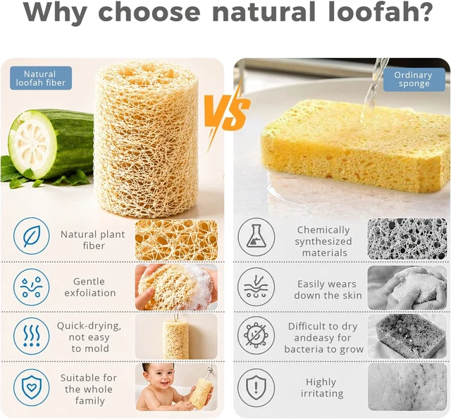 Alt view image 7 of 7 - Dead Skin Removal Loofah for Shower and Kitchen Use, Eco-Friendly Plant Fiber Bath Sponge with Hanging Rope, Pure Natural Dried Luffa Body Exfoliator