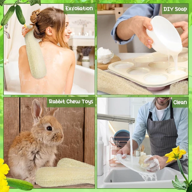 Alt view image 7 of 7 - Natural Organic Loofah Bath Body Scrubber Sponges