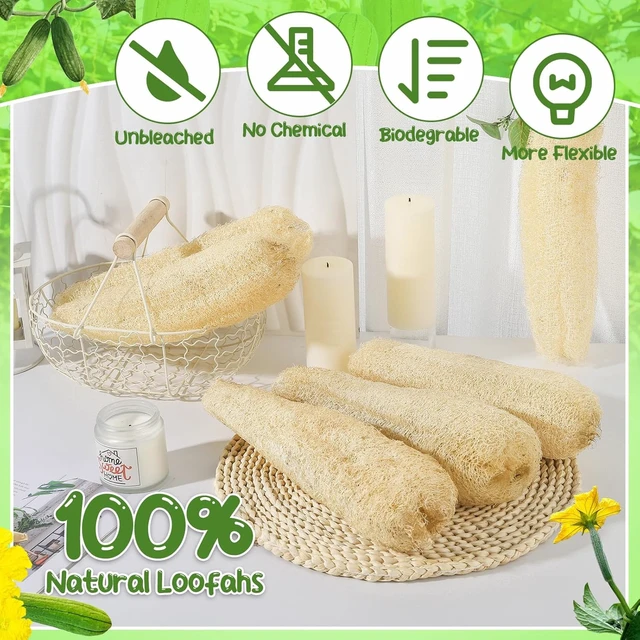 Alt view image 3 of 7 - Natural Organic Loofah Bath Body Scrubber Sponges