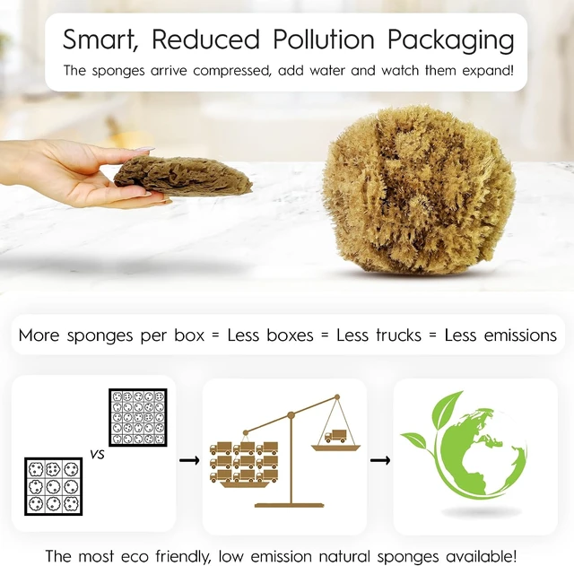 Alt view image 2 of 7 - Natural Exfoliating Sea Loofah Sponge for Bathing | Eco-Friendly Unbleached Body Scrubber Puff | Sustainable Plastic-Free Shower Tool