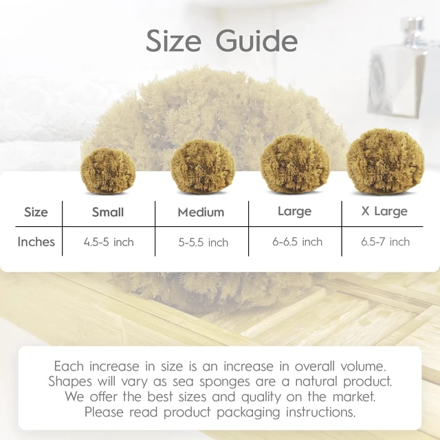 Alt view image 5 of 7 - Natural Exfoliating Sea Loofah Sponge for Bathing | Eco-Friendly Unbleached Body Scrubber Puff | Sustainable Plastic-Free Shower Tool
