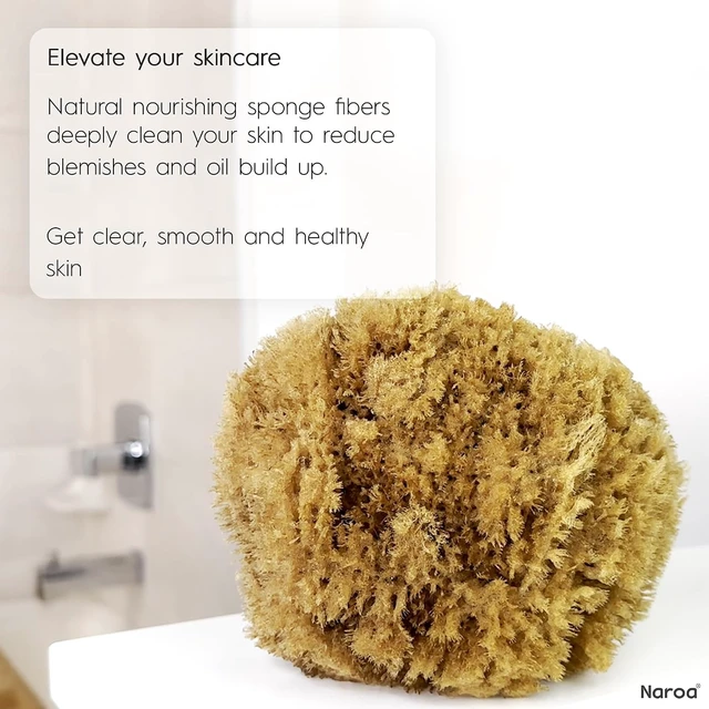 Alt view image 6 of 7 - Natural Exfoliating Sea Loofah Sponge for Bathing | Eco-Friendly Unbleached Body Scrubber Puff | Sustainable Plastic-Free Shower Tool
