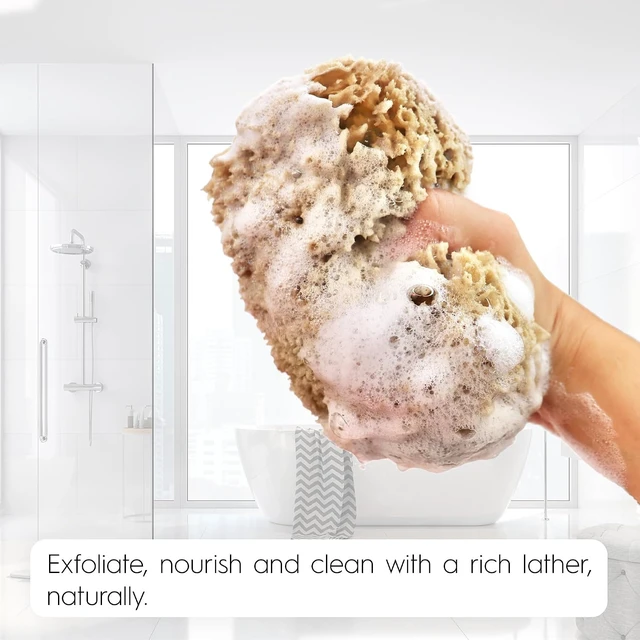 Alt view image 7 of 7 - Natural Exfoliating Sea Loofah Sponge for Bathing | Eco-Friendly Unbleached Body Scrubber Puff | Sustainable Plastic-Free Shower Tool