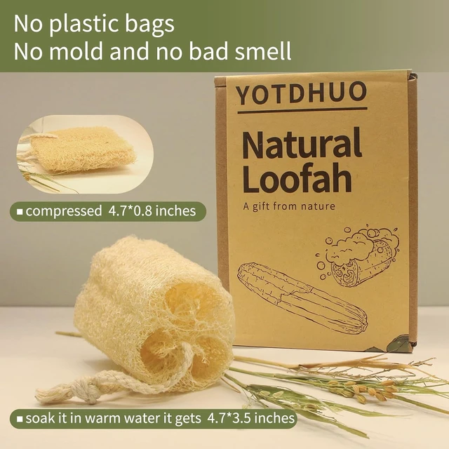 Alt view image 3 of 6 - Organic Natural Luffa Body Exfoliator Scrubber - Eco-Friendly Loofah Sponge for Smooth Skin
