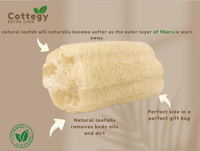 Alt view image 7 of 7 - Pure Natural Egyptian Loofah Body Scrubber for Gentle Exfoliation - Eco-Friendly Bath Sponge for Face & Skin Care