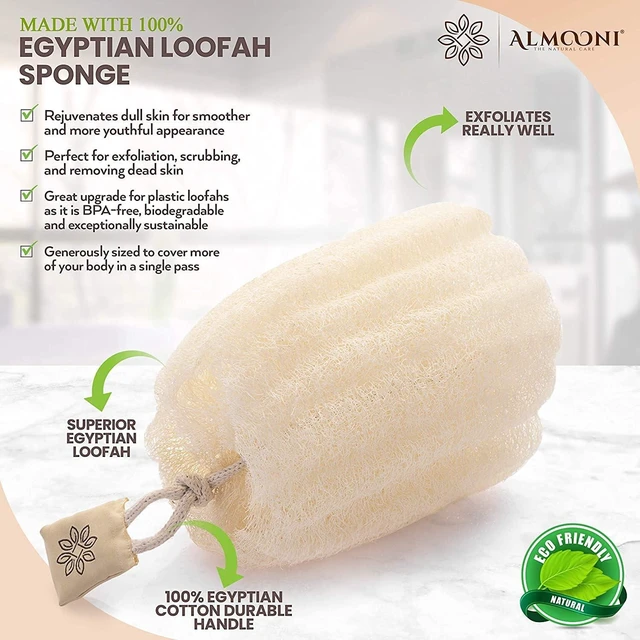 Alt view image 2 of 6 - Authentic Egyptian Luffa Sponge Natural Body Exfoliator