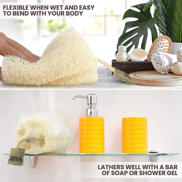 Alt view image 3 of 6 - Authentic Egyptian Luffa Sponge Natural Body Exfoliator