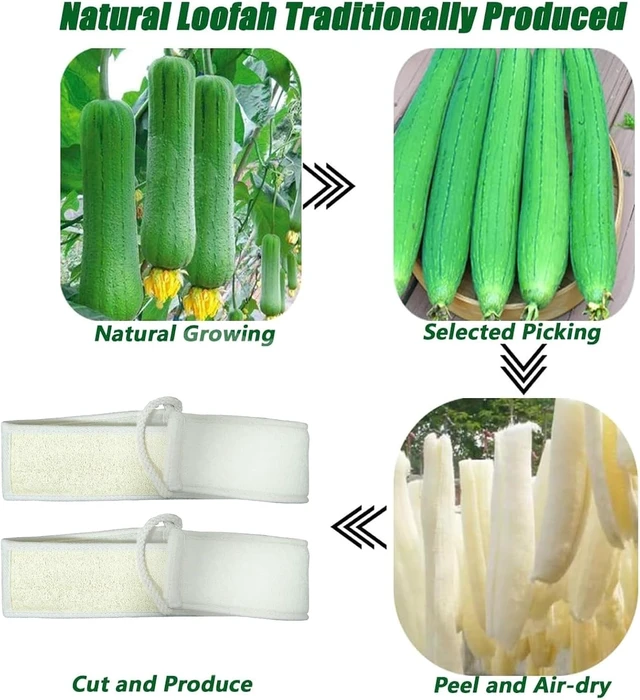 Alt view image 3 of 7 - Unisex Luffa Body Cleansing Tool, Natural Loofah Bath Scrubbing Strap for Exfoliating Back in Shower
