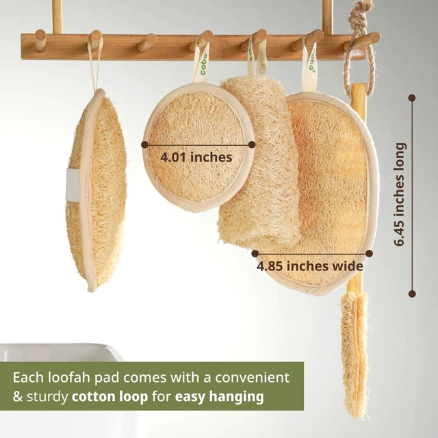 Alt view image 7 of 7 - Pure Plant-Based Loofah Body and Face Exfoliator Set | Natural Luffa Sponge for Deep Cleansing & Smooth Skin | Unisex Bath Scrubber