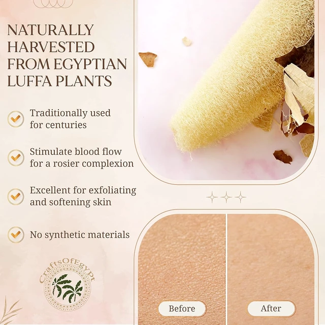 Alt view image 7 of 7 - Egyptian Luffa Body Exfoliating Sponge Set for Shower