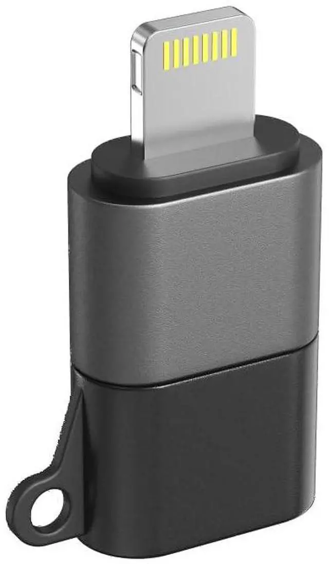 Main image of Type-C to Lightning Adapter for P1