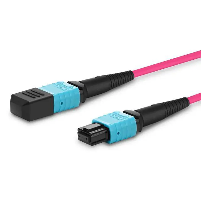 Alt view image 5 of 5 - MPO to MPO Fiber Patch Cable,12 Fibers Female, 40G/100G/200G/400G, OM4 50/125 Multimode Standard Loss Trunk Cable, Type B, Plenum (LSZH) with Random Color(Violet/Aqua) - 2m (7ft)