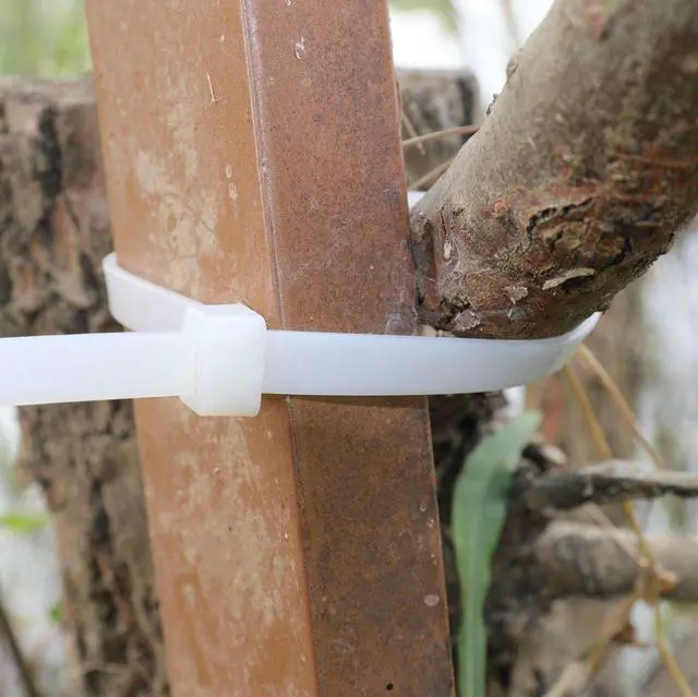 Alt view image 5 of 6 - 24 inch Zip Ties Heavy Duty outdoor use Extra Long Cable Ties White 100 pcs 120 lbs thick plastic Ziptie