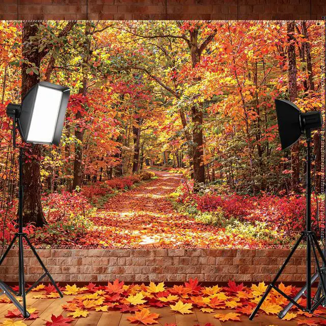 Alt view image 6 of 6 - Fall Backdrops for Photography 10×6.5ft Autumn Leaves Scene Photo Backdrop | with 100pcs 3.1inch dualcolor artificial maple leaves, Photoshoot Prop Background,Thanksgiving Party Decorations Banner