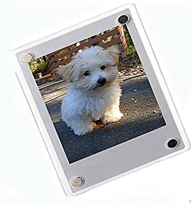Alt view image 2 of 3 - Instax Mini 12 Instant Camera + Pro Design Protective Case & Magnetic Lucite Frames, 20 Sheets (Lilac Purple)