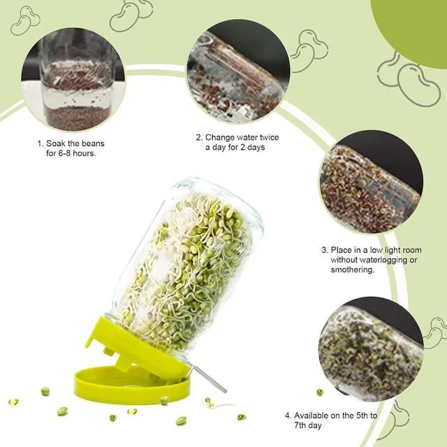 Alt view image 5 of 7 - Wide Mouth Mason Jar Sprouting Kit with Sprouting Lids and Drainage Tray - Ideal for Bean, Alfalfa Sprouts and Microgreens, Vertical and Angled Placement Support(Two lids and two drip trays)