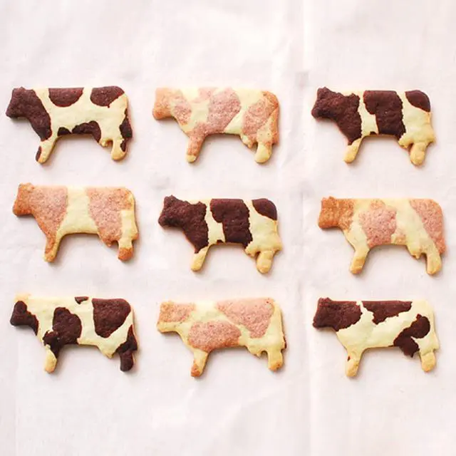 Alt view image 5 of 5 - 10 PCS Farm Cookie Cutter Set with Recipe Booklet Rooster Cow Pig Lamb Horse Barn and Tractor Cow Face Milk Bottle Bull head