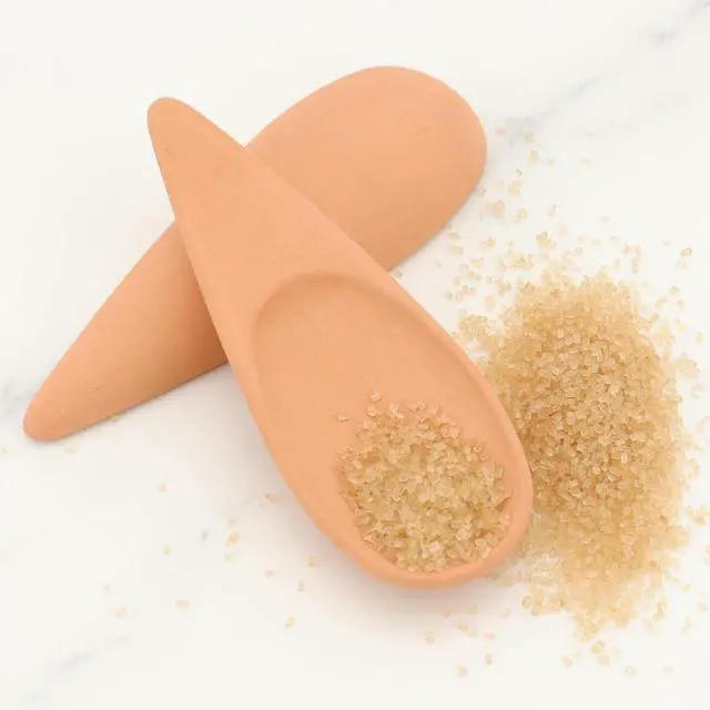 Main image of 2 PCS Brown Sugar Saver Spoon Terracotta Brown Sugar Keeper