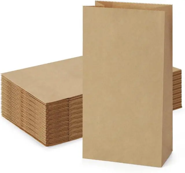 Main image of SHOPDAY 100 Pack Brown Kraft Paper Lunch Bags, 4lb Capacity, 5x2.95x9.45 Inches, Fold Top, Disposable, Brown