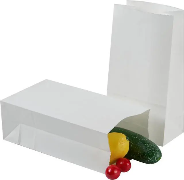 Main image of 40 Count 4lb White Kraft Paper Lunch Bags Disposable Fold Top Bags