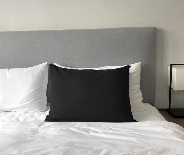 Alt view image 7 of 7 - 1800 Series Super Soft Brushed Microfiber Fabric Zipper Pillowcase, Luxury Cozy and Lightweight, Set of 2, Black, Standard, 20x26 Inches