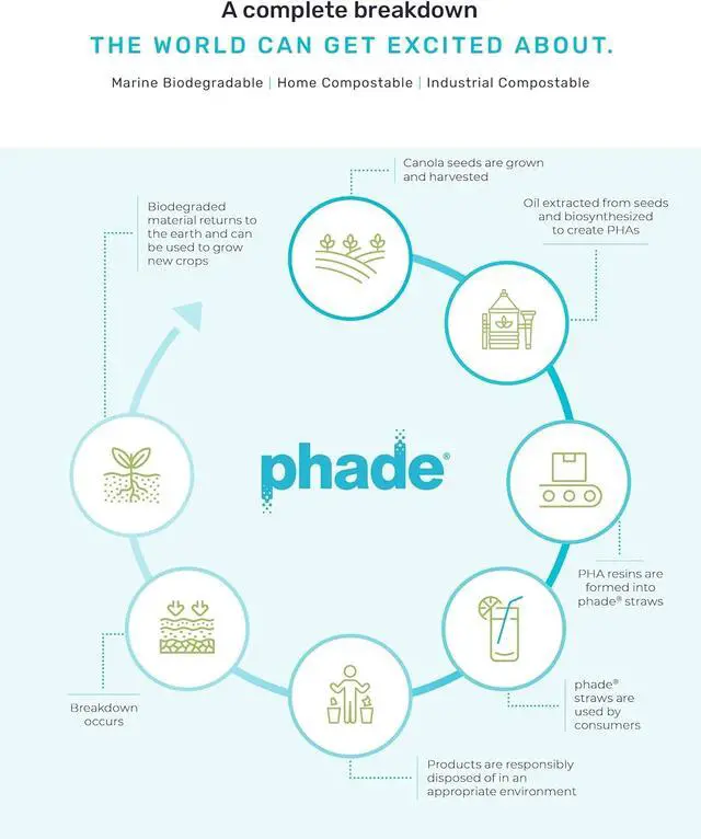 Alt view image 6 of 7 - phade Eco-Friendly Sustainable Marine Biodegradable, Compostable 7.75" Jumbo Straws, Un-wrapped, 1 Box - 50 Count