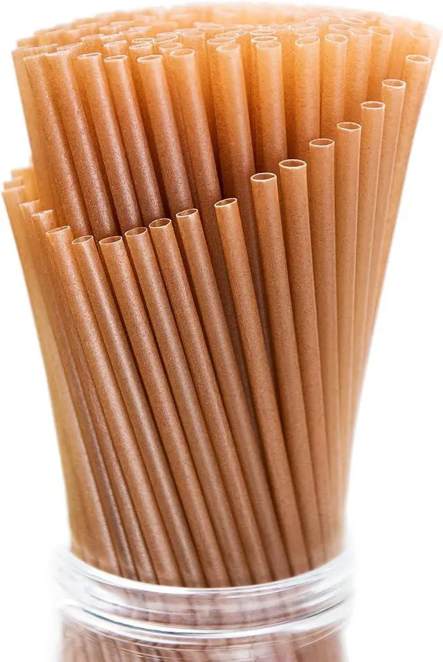 Main image of 100pcs Sugarcane Straws, 8 Inch Sturdy Biodegradable Plastic Free Eco-Friendly Compostable Smoothie Drinking Straws for Home Restaurant Beach Parties Not Foggy