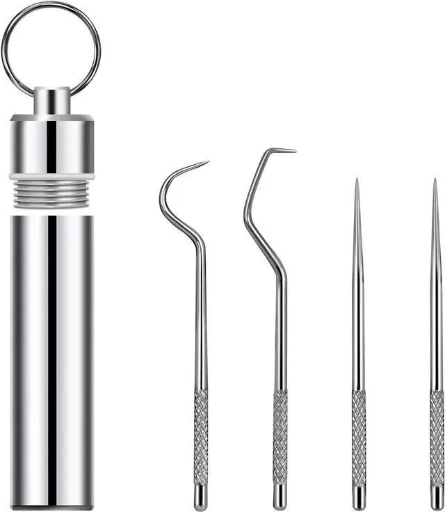 Main image of 4 Pcs/set Portable Stainless Steel Pocket Set Reusable Metal Toothpicks, Holder for Outdoor Picnic Camping Traveling Supplies(1)