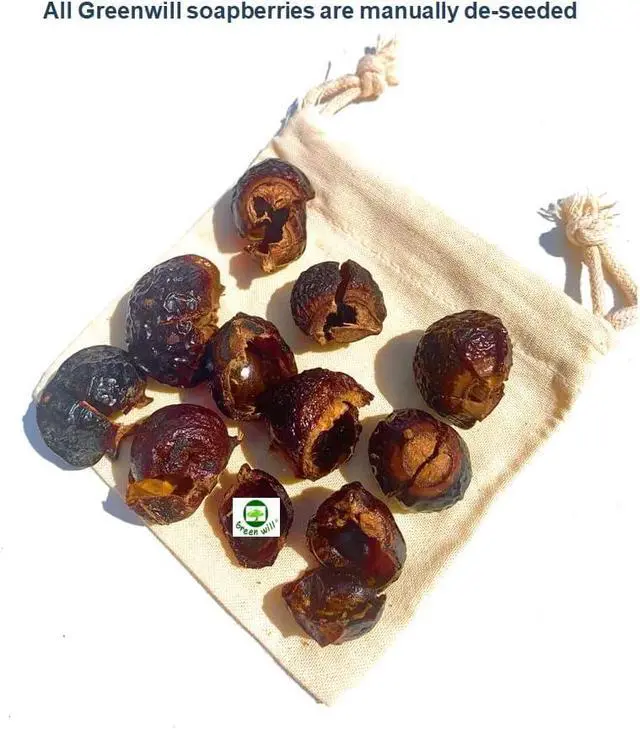 Alt view image 5 of 5 - 6 Ounces Greenwill Organic De-seeded Soapberry/Soap Nuts Natural Laundry Detergent with Wash Bag