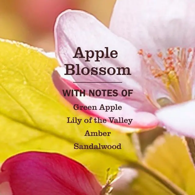 Alt view image 3 of 7 - MRS. MEYER'S CLEAN DAY Vinegar Gel Cleaning Spray, Apple Blossom, 16 fl oz