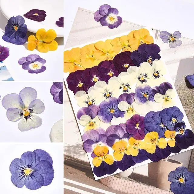 Alt view image 7 of 7 - 63 Pcs Edible Flowers Cake Decorations Dried Edible Flowers for Cocktails, Drinks, Cupcake Topper & Cake Decorating, Food Grade Pressed Flowers Mix with Pansy, Heart Rose Petals & Orange