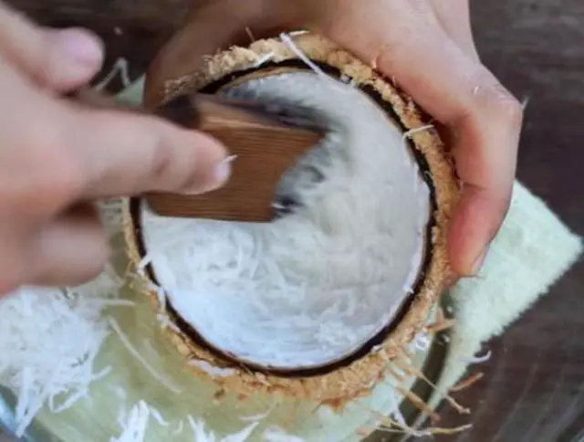 Alt view image 5 of 6 - Dolphin Shop, Coconut Grater Wooden Handheld Scraper and Shredder for Fresh or Baby Coconut Meat Size 7 x 1.3 x 0.5 inch, Easy to Use, Portable