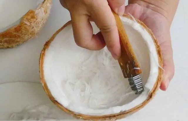 Alt view image 6 of 6 - Dolphin Shop, Coconut Grater Wooden Handheld Scraper and Shredder for Fresh or Baby Coconut Meat Size 7 x 1.3 x 0.5 inch, Easy to Use, Portable