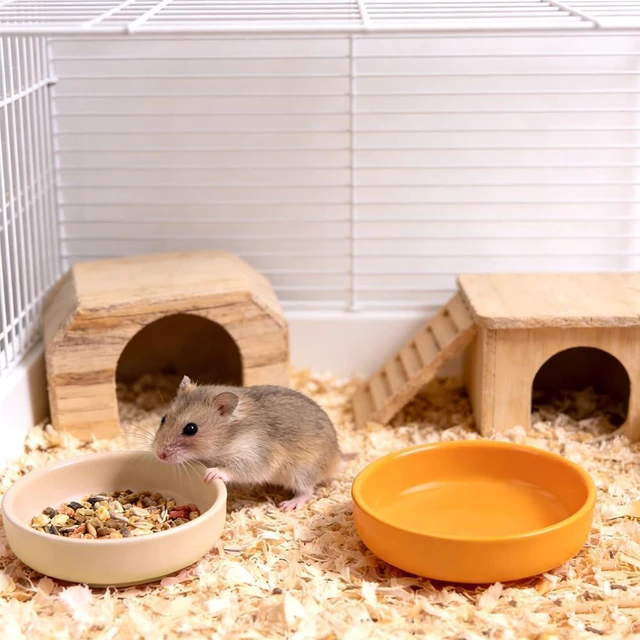 Alt view image 2 of 7 - 2 Pack Hamster Bowl Ceramic Food and Water Dish Cute Feeder for Hamster Hedgehog Squirrel Guinea Pig Small Animals (Yellow and Red